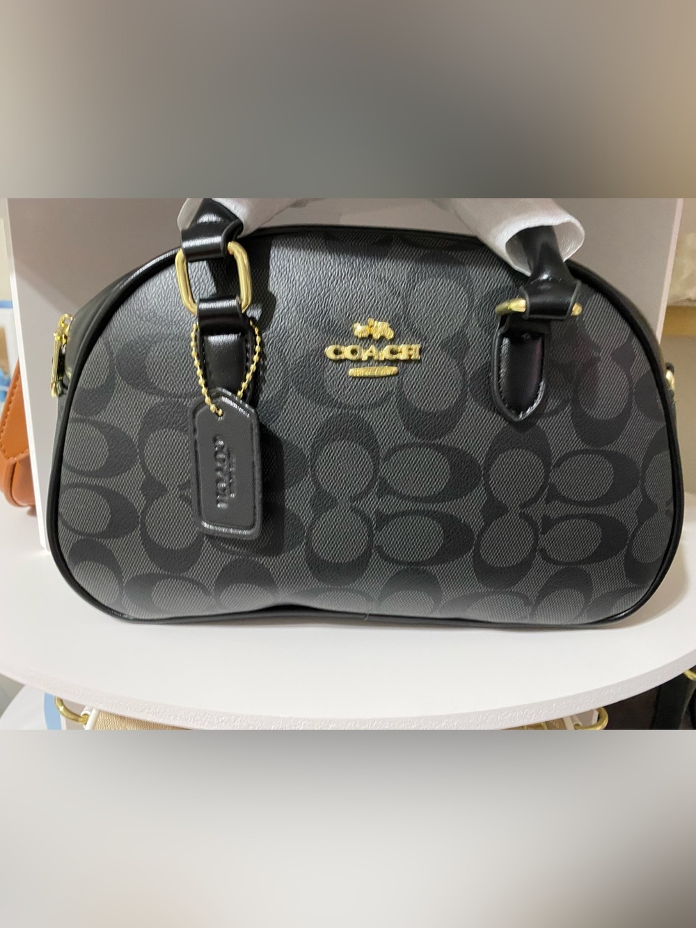 Inspiration COACH Black Signature Dome Satchel